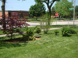 The Grandma Garden last year.